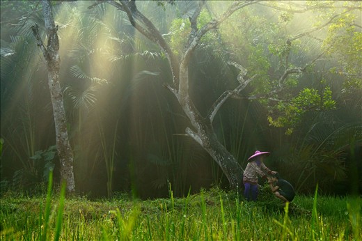 A form of respect to parent everywhere and anywhere. This young man showed respect for his mother in Puspitek, Banten, Indonesia