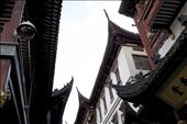 For the rivalry between Shanghai and Beijing, the former boasts its Western openness and liberal lifestyle but someone is still always watching you. China is always watching.  : by diosa, Views[348]