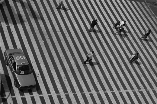 A bird's eye view of the zebra crossing that leads to the main town square in Mexico City. Locals and tourists, alike, dodge taxis like a dangerous game of cat and mouse