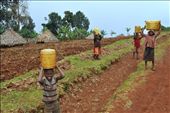 On our drive in a 4-wheel-drive Pajero from the falls to our hotel, we are met with 4 young children of the local community walking to their village after having collected water from the falls for their domestic use.: by dishaparekh, Views[499]