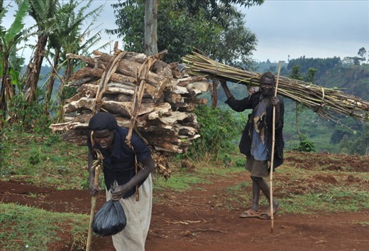 This was a couple from the local village who went to collect firewood in the forest surrounding the falls so as to use it to cook and heat/light their huts at night. Everyone in the village does this at least once a week, because there is no electricity available to their village.