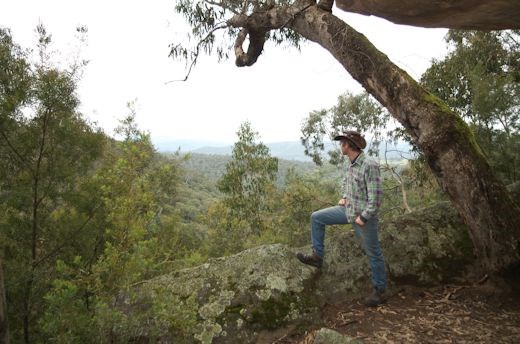 over looking the australian bush, that i love so much on the edge of Ned Kelly county, walking down to passidise. 