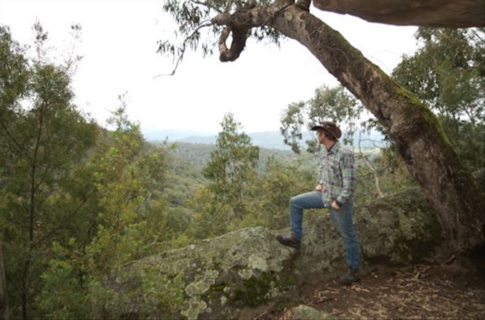 over looking the australian bush, that i love so much on the edge of Ned Kelly county, walking down to passidise. 