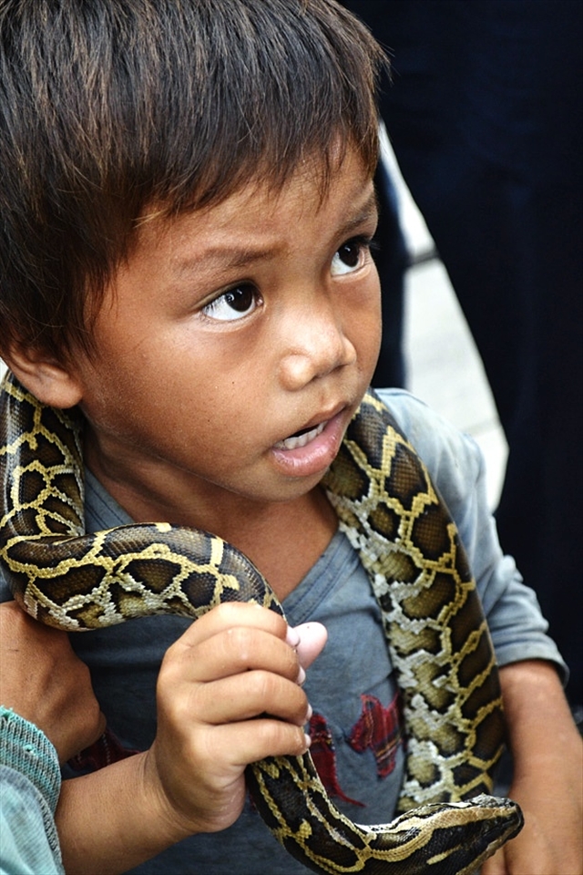 He wears this snake around his neck all day begging for money to feed his family