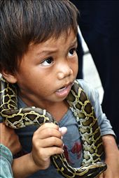 He wears this snake around his neck all day begging for money to feed his family: by divineblu, Views[1239]