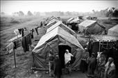 A group of women stand outside one of the tents in the camp. Out of the 600 families, less than one fourth have returned. Vacillating between debris and dreams of what used to be, they battle everyday, rebuilding bamboo by bamboo, towards a bricked structure. They hope for not much, but a house they can live in.: by divvea, Views[7766]