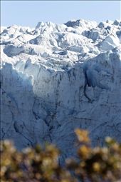 by divvea, Views[949]