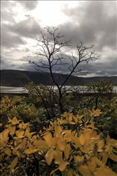 by divvea, Views[602]