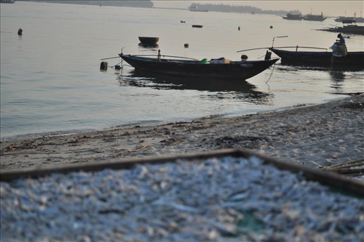 This is the fishy side of Hoi An, a UNESCO site in Central Vietnam.