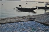 This is the fishy side of Hoi An, a UNESCO site in Central Vietnam.: by diwata, Views[642]