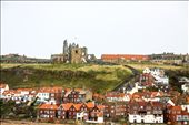 by dixonliu, Views[381]