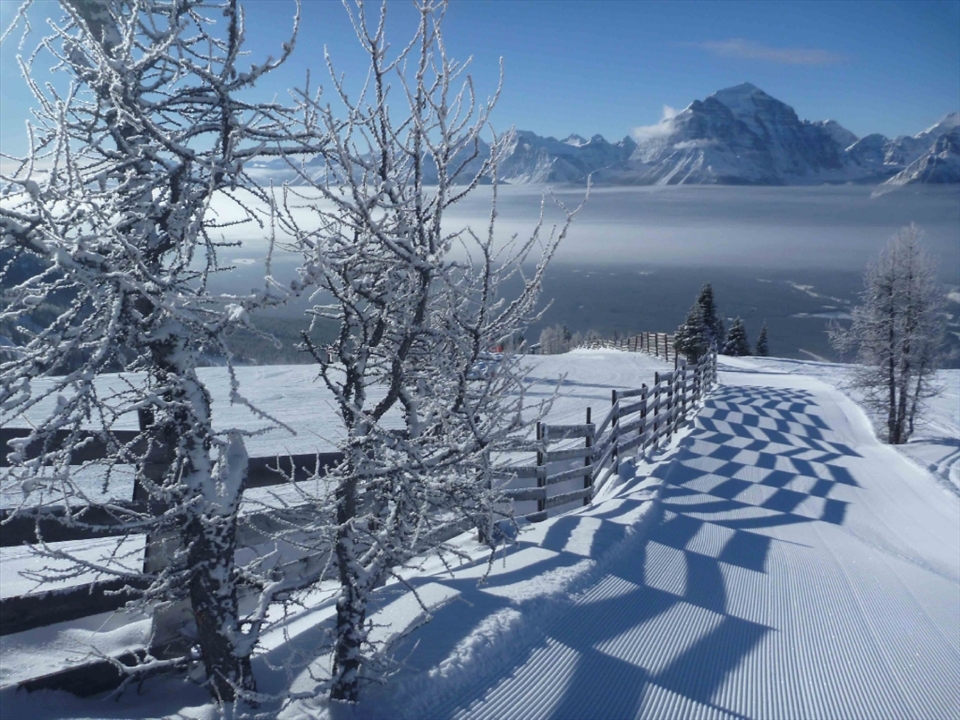 A beautiful morning on the slopes lake louise, Canada.