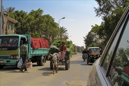 Cairo Logistics: A young man smokes a cigarette as his donkey pulls his harvest down a main road in Downtown Cairo. He is passing a larger Chevrolet Jumbo, and is being flanked by a 