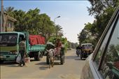 Cairo Logistics: A young man smokes a cigarette as his donkey pulls his harvest down a main road in Downtown Cairo. He is passing a larger Chevrolet Jumbo, and is being flanked by a 