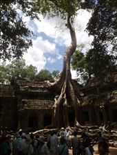 by dkhoo, Views[140]