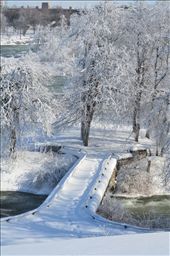 An area at Niagara Falls closed off to tourists in Winter. Cold and lonely, but beauty in the solitude. : by dlbrokdesign, Views[386]