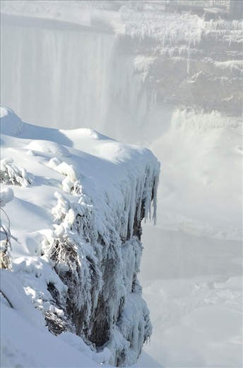 Winter is cold by Niagara Falls, I know, I live here! There is little life besides the residents, two and four legged.