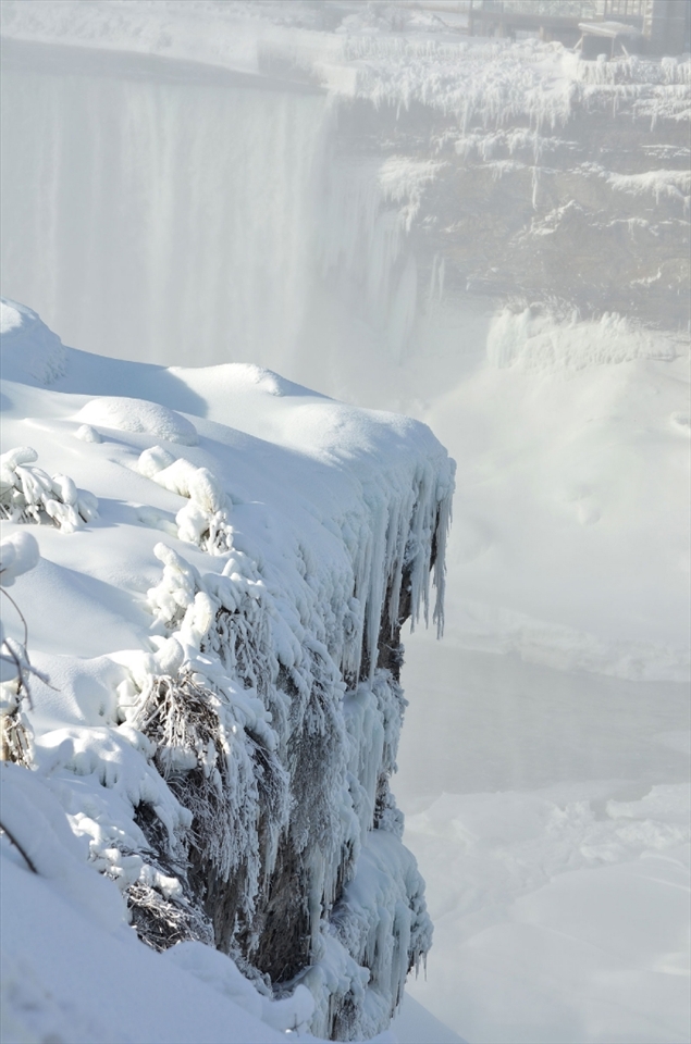 Winter is cold by Niagara Falls, I know, I live here! There is little life besides the residents, two and four legged.