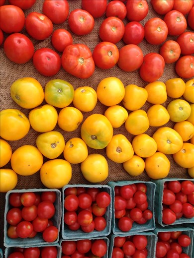 At the farmers market, choosing the stars for the dish