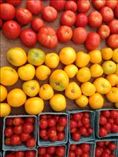 At the farmers market, choosing the stars for the dish: by dlonglytle, Views[606]