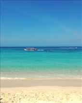 by dmstaton, Views[222]