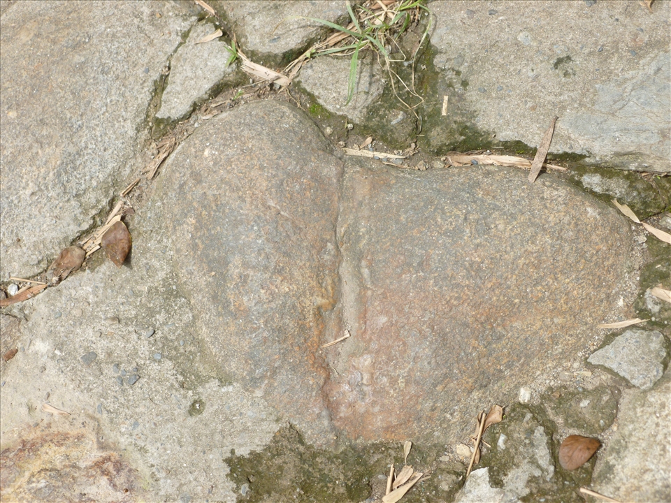 The Heart healed and growth is assured.