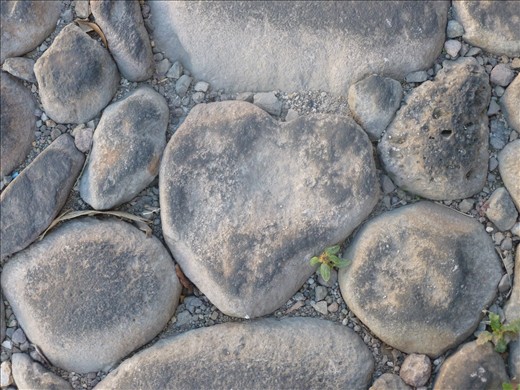 The path of healing of the Heart.