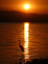 Being One with all.: by docvalnd, Views[309]