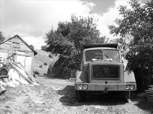 An old truck. Didnt try to start the engine. Maybe still in function.