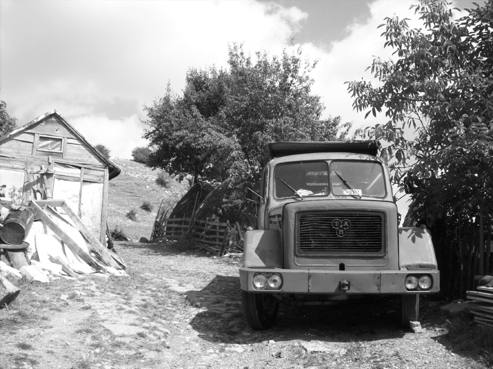 An old truck. Didnt try to start the engine. Maybe still in function.