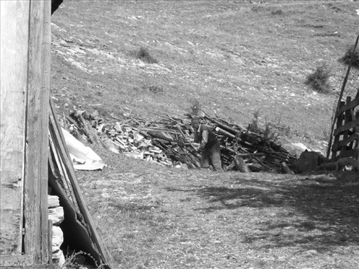 An old man chopping woods. Almost the last preparation for winter.