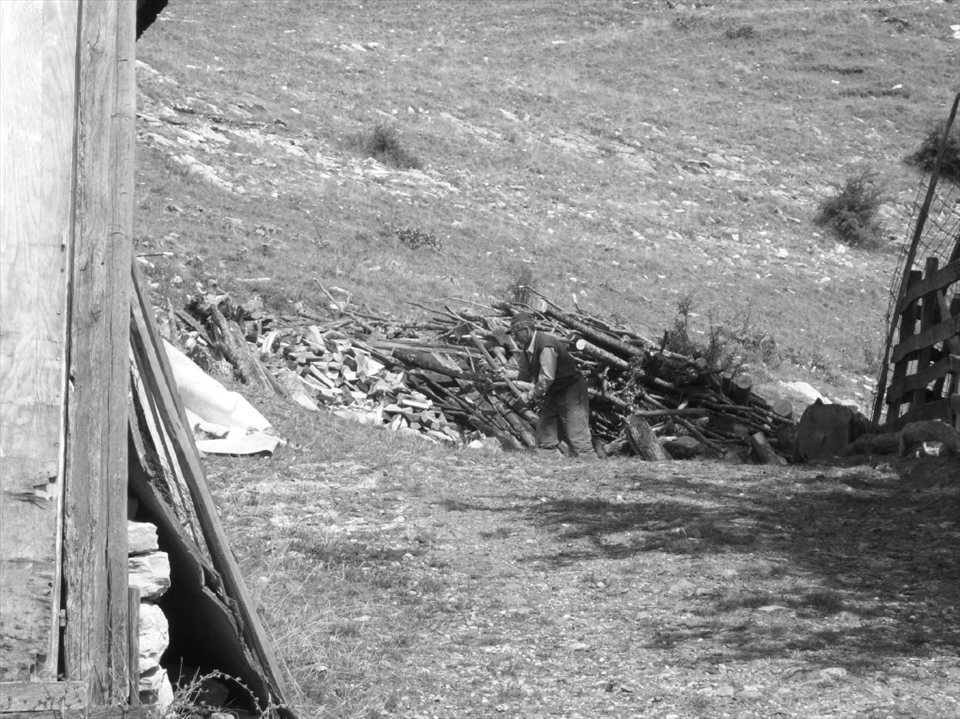 An old man chopping woods. Almost the last preparation for winter.