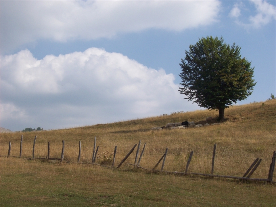 When it was time to go my attention was robbed by this scene. I think this is the most deserved shade on this planet in this moment. Lets say that this 