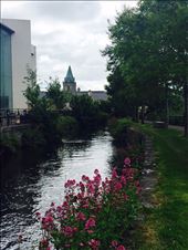 by dohnster, Views[406]