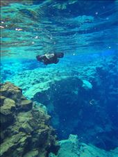 more snorkel: by dohnster, Views[288]