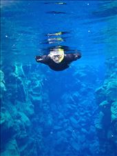 me snorkeling!: by dohnster, Views[188]