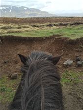 by dohnster, Views[273]