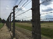 by dohnster, Views[359]
