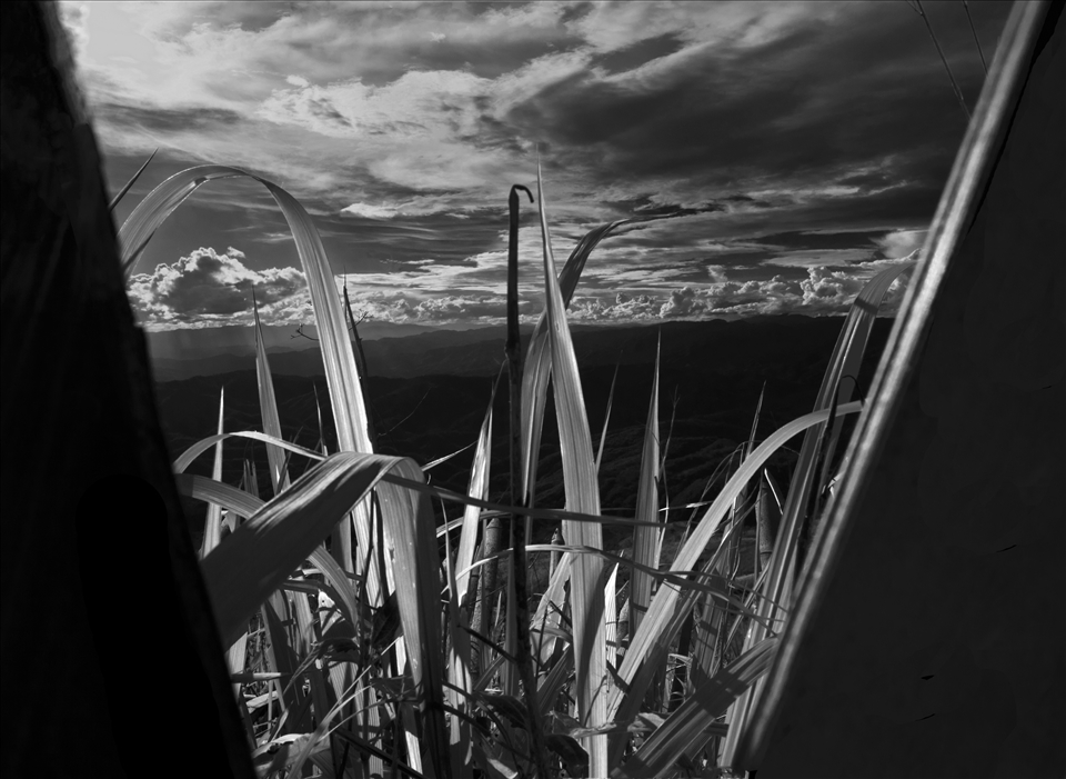 Before 1988 this border with Myanmar lay completely under the control of drugs cartells based in the Burmese jungle. 

This view is taken through the bamboo bars of the Thai army´s border outpost. Since the Princess Mother began her initiatives in Thailand´s Doitung mountain community, drugs trafficking has greatly decreased and the border is quiet.
