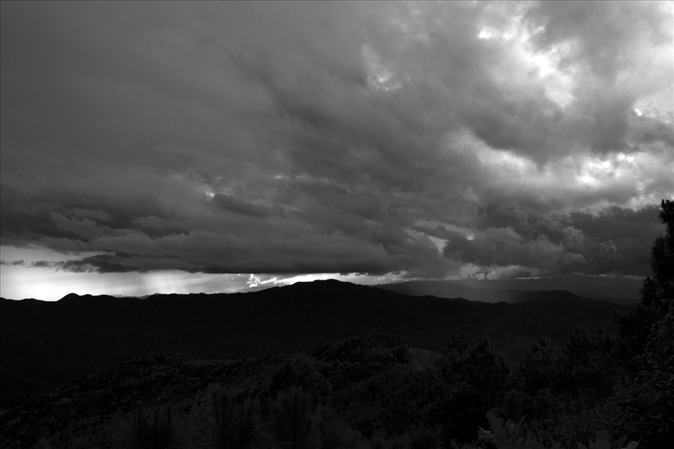 Where forests grow now was a barren landscape of slash and burn opium farmland as far as the eye only twenty years ago. 

Despite the relative peace now, local rumours of continued nightly traffic across the mountains remain. Tribesmen and gardners charged with replanting the Northern Thai-Myanmar border remain afraid to go outside at night. 

