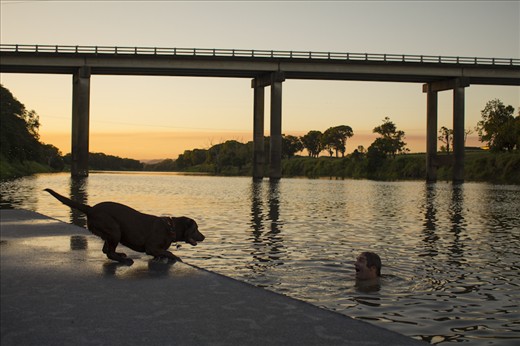 “Look Out Here I Come!” Taking Hazel my 9-month-old Labrador for an afternoon swim in the Pioneer River is always entertaining.  I captured Hazel just as she was about to launch herself on top of my friend.  His look is one of fear as he knows the outcome will be painful.