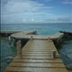 Lazy Lizard, Caye Caulker  by: dom-h Views[179]