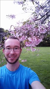 Bye Bye Auckland: by domi_info, Views[1101]