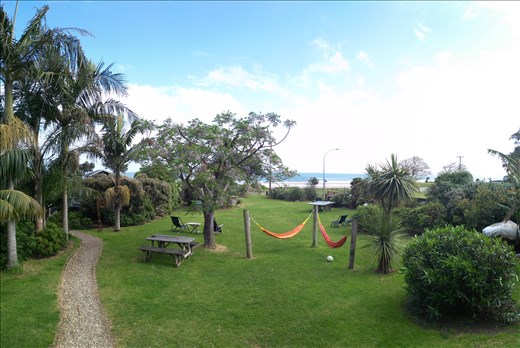 I stayed at the bottom of 90 miles beach in Ahipara and this is the hosts garden