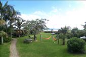Ahipara, bottom of 90miles beach. Hostel garden: by domi_info, Views[211]