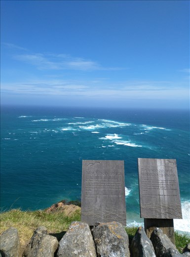 Cape Reingar, where the Tasman Sea and Pacific Ocean meet.