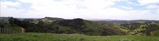 Panorama am Waipu Caves Aussichtspunkt