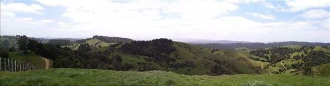 Panorama am Waipu Caves Aussichtspunkt: by domi_info, Views[389]