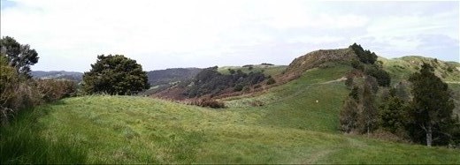 Panorama am Waipu Caves Aussichtspunkt