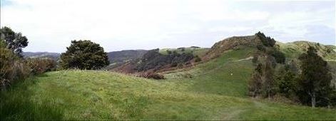 Panorama am Waipu Caves Aussichtspunkt: by domi_info, Views[416]